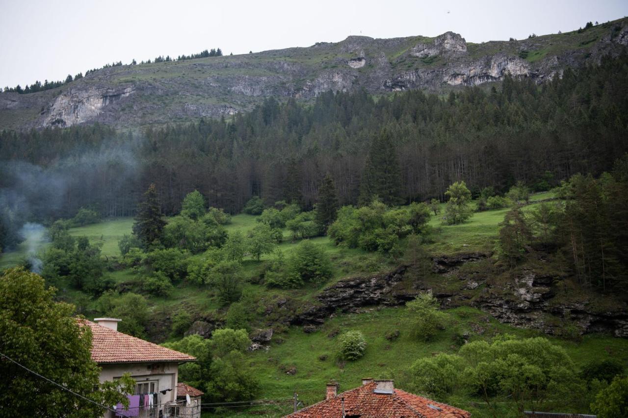 Guest House Rossy Trigrad Esterno foto