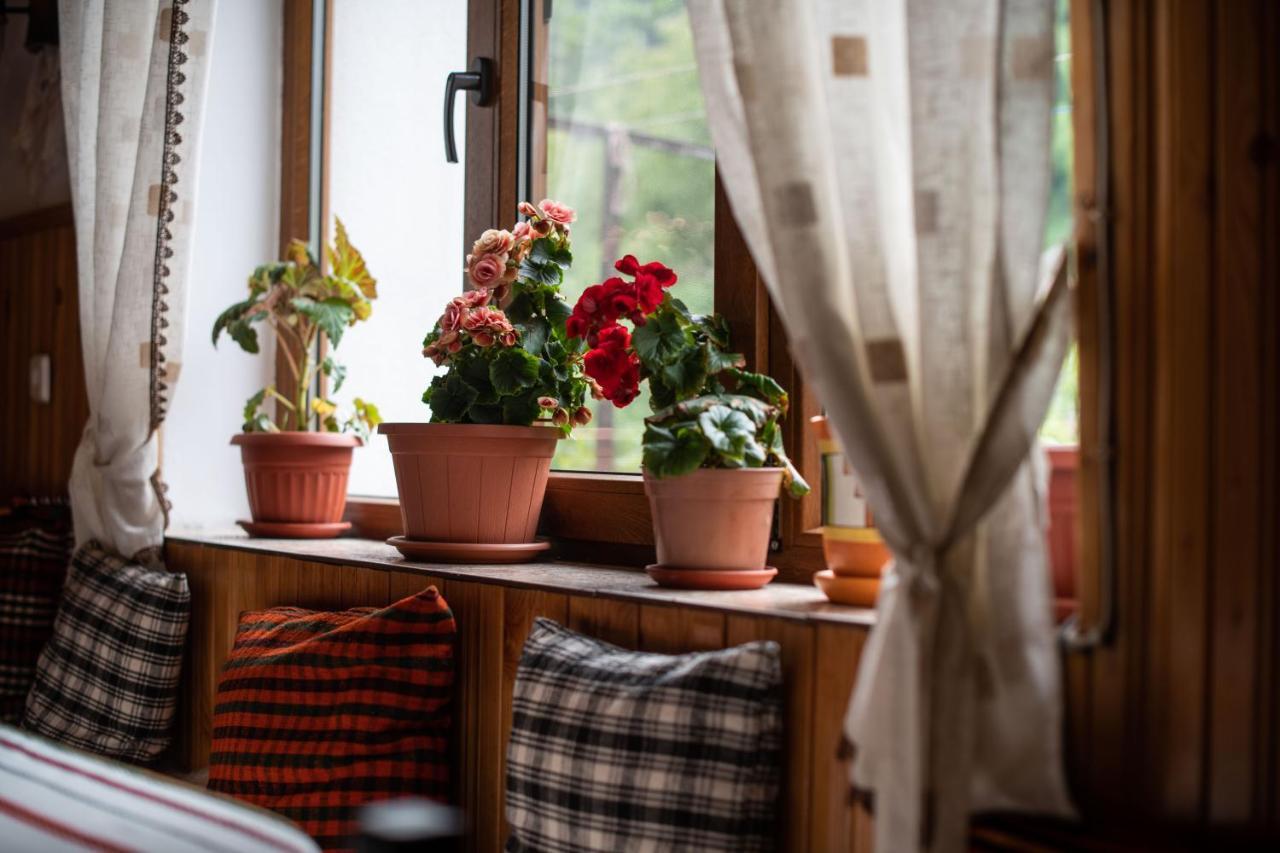 Guest House Rossy Trigrad Esterno foto